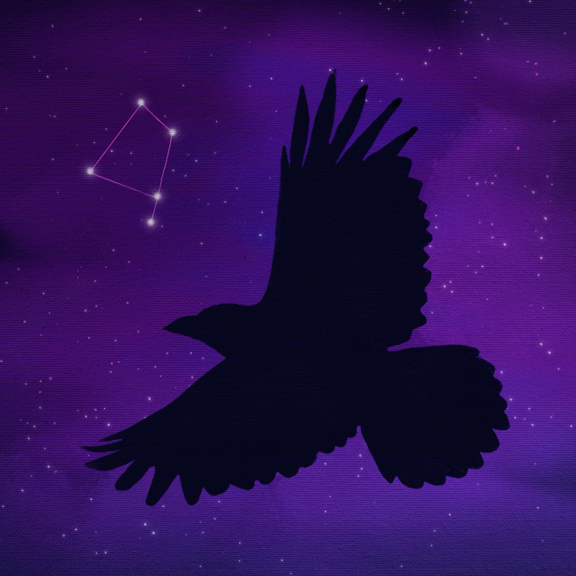 Constellation Crow